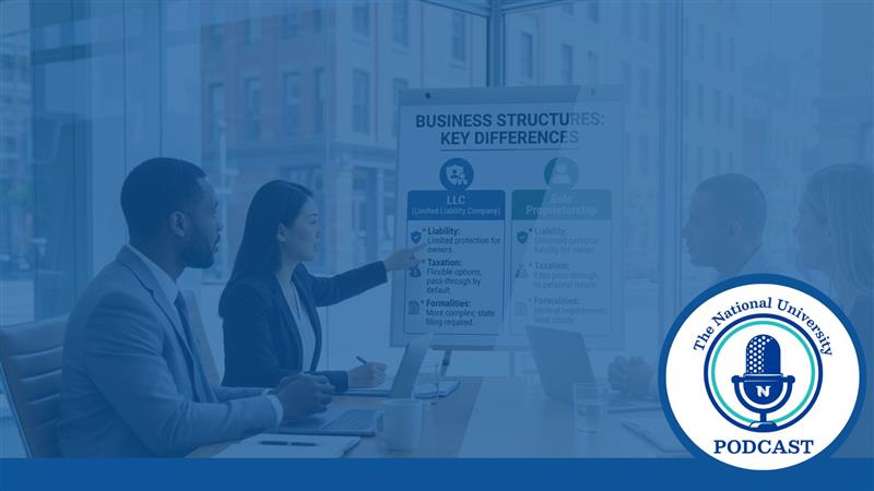 Navigating Small Business Structures LLCs vs. Sole Proprietorships